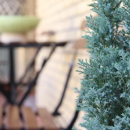 Meteoron Apartamento *